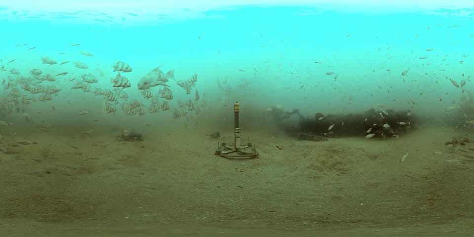 A hyrdophone is mounted to the sea floor as small fish swim all around the scene kicking up sediment