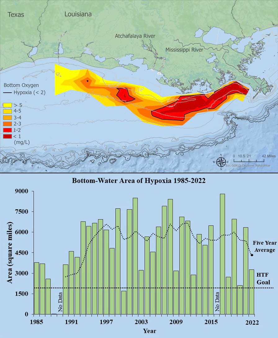 A graphic that shows 2022 hypoxic zone in the Gulf of Mexico