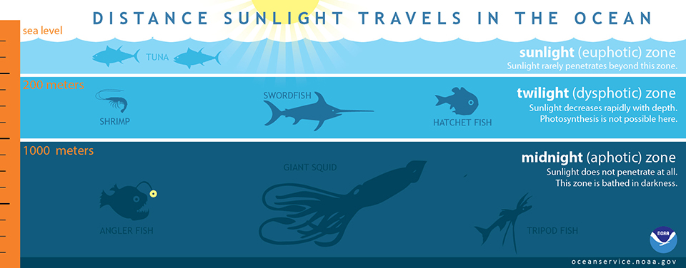illustration of how far light travels in the ocean.