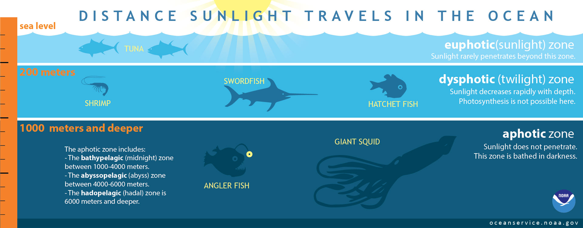 illustration of how far light travels in the ocean.