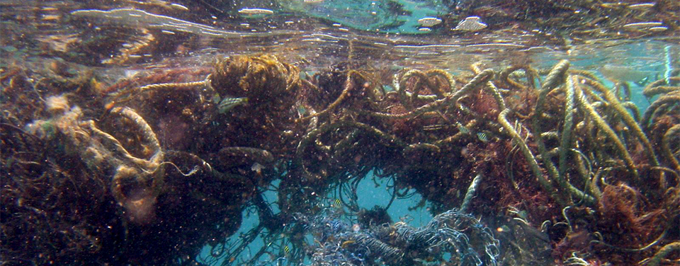 Photo of marine debris