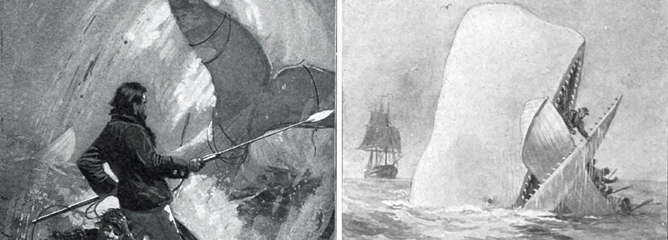 Illustrations from Moby-Dick, published in 1851 and authored by Herman Melville.