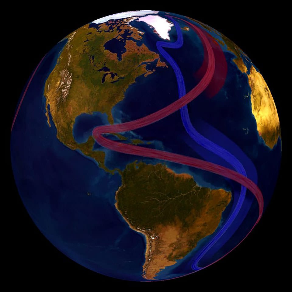 The global conveyor belt, shown here, circulates cool subsurface water and warm surface water throughout the world.