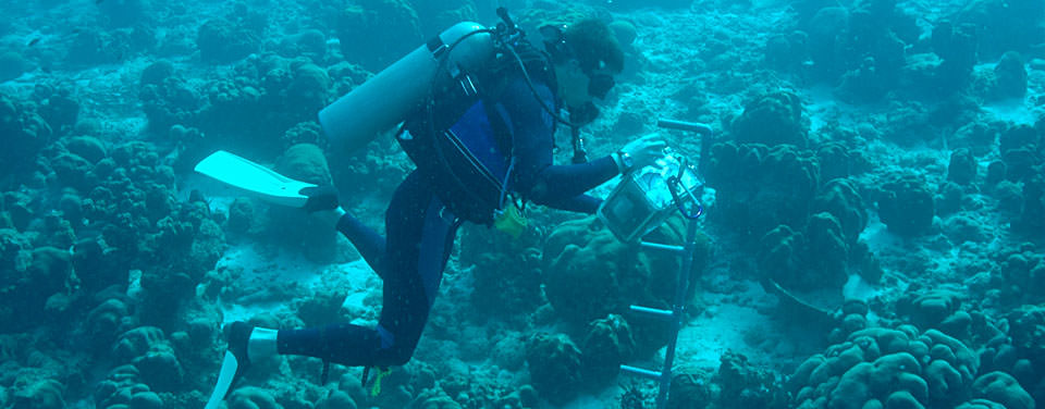 What does an oceanographer do?