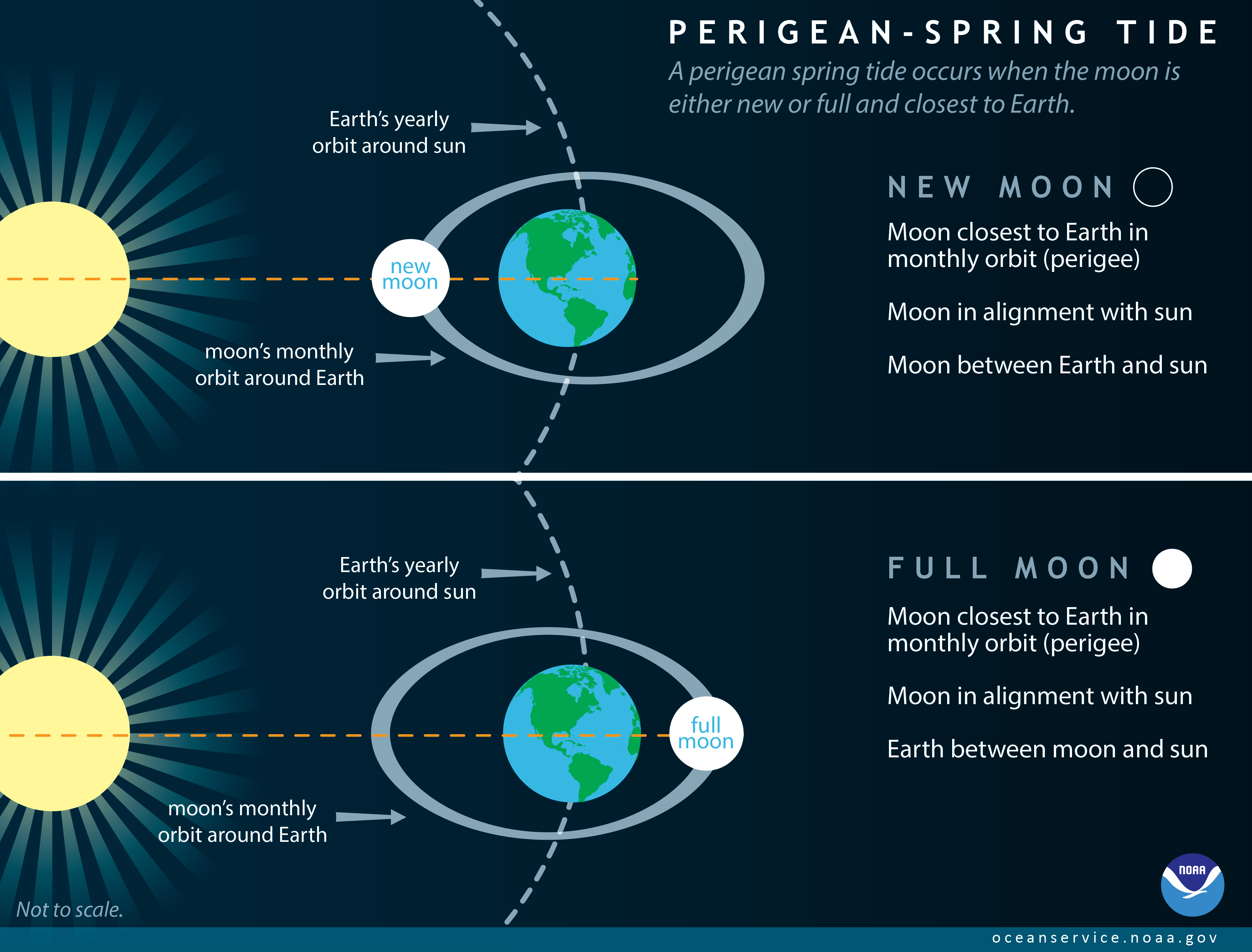 What is a perigean spring tide?