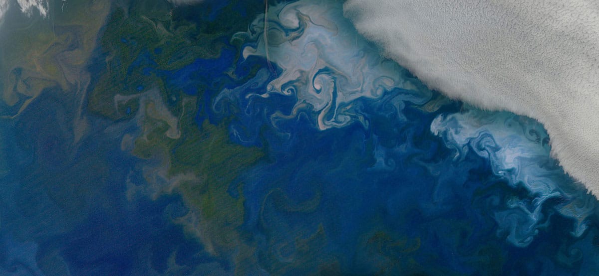 Phytoplankton blooms in the Barents Sea, shown in natural color from NASA's Aqua satellite on July 10, 2014. The solid white area in the top right corner is cloud cover. Credit: NASA's Earth Observatory