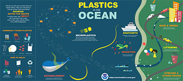 Link to original version of the 'Plastic in the Ocean' infographic