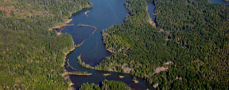 aerial view of South Slough National Estuarine Research Reserve (image credit: South Slough NERR)