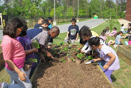 kids planting a garden