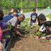 kids planting a garden