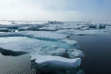 arctic ice 