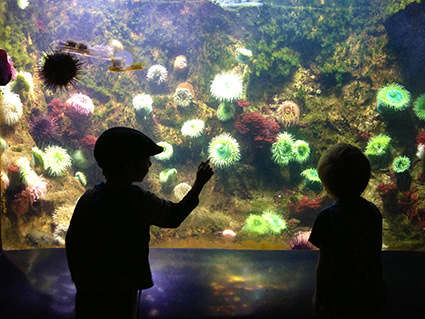 Children at aquarium