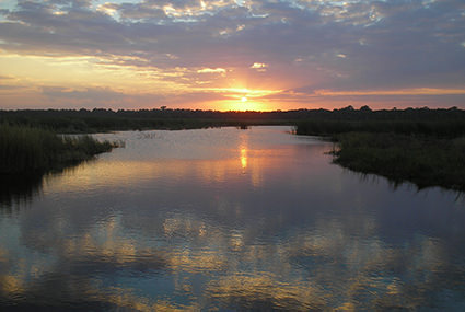 Sunset over the marsh at the Guana Tolomato Matanzas National Estuarine Research Reserve in Florida. The Guana Tolomato Matanzas Reserve contains the northernmost extent of mangrove habitat on the U.S. east coast, some of the highest dunes in Florida (measuring 30-40 feet), and one of the few remaining ‘inlets’ in northeast Flordia not protected by a jetty. 
