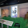 habitat exhibit at Jacques Costeau NERR