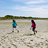 Children explore the Rachel Carson Reserve