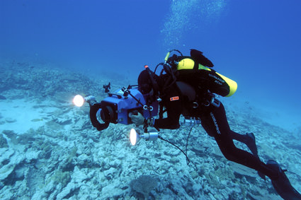 Rapture Reef filming. Image credit: Robert Schwemmer, NOAA National Marine Sanctuaries