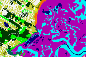image showing Coastal Change Analysis Program land cover classes from August 2013