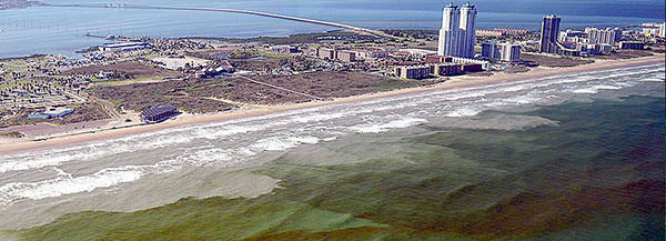 Harmful algal bloom in Texas, Gulf of Mexico