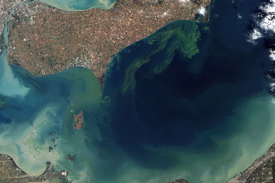 a harmful algal bloom in Lake Erie viewed from space