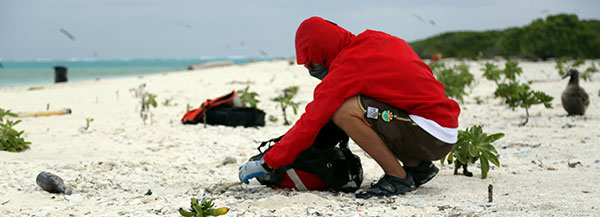 Cleaning up marine debris on a beach. Credit: NOAA CREP