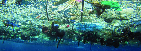 marine debris floating at the water's surface