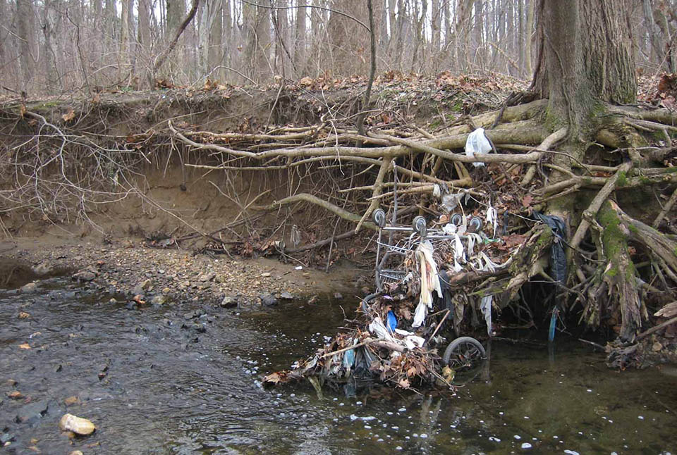 Tree trash and garbage to the water 
