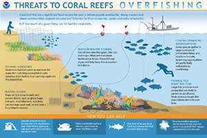 coral reef and overfishing infographic