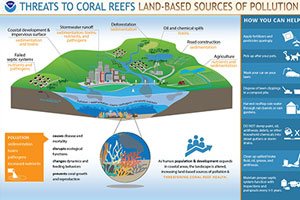 coral reef and pollution infographic