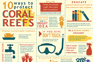 Things you can do to help coral reefs infographic.