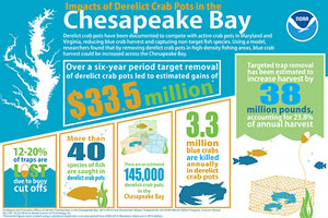 infographic thumbnail: Impacts of Derelict Crab Pots in the Chesapeake Bay