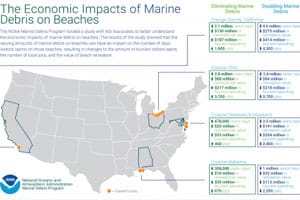 screenshot of story map, showing the United States and text that says economic impact of marine debris on tourism
