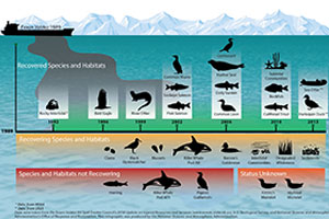 Exxon Valdez graphic