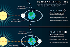 Infographic explaning the perigean spring tide.
