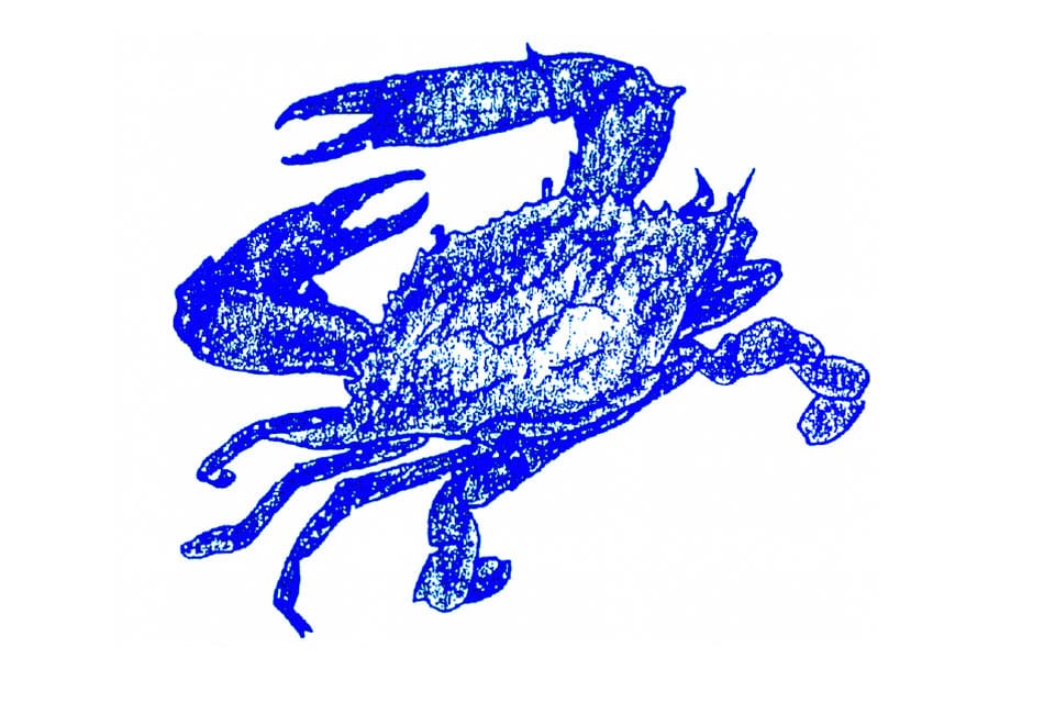 maryland crab art