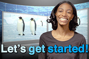 ocean today narrator with penguins on a screen in the background