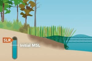 coastal sea level rise animation