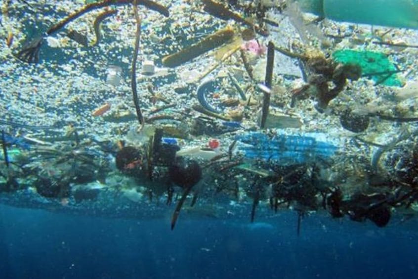 diver among marine debris