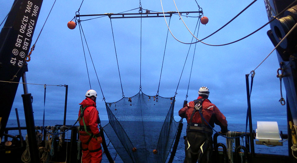two researchers deploy a beam trawl from a ship