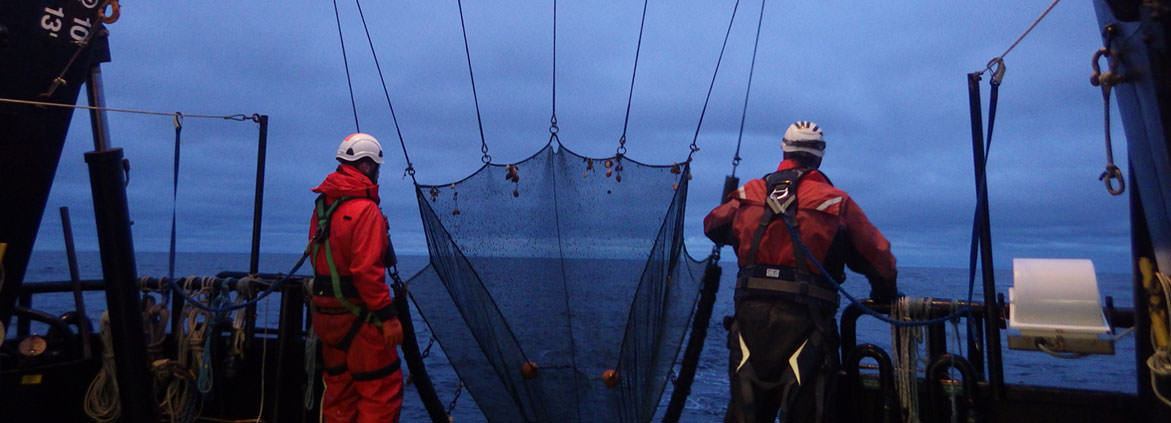 U.S. MBON researchers prepare to deploy a beam trawl to collect ocean life samples. Image courtesy of Katrin Iken, AMBON principal investigator, University of Alaska Fairbanks