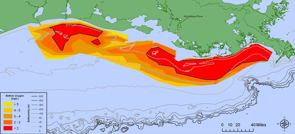 Distribution of bottom-water dissolved oxygen for July 27-Aug. 1 (west of the Mississippi River delta), 2014. Black line indicates dissolved oxygen level of 2 mg/L.