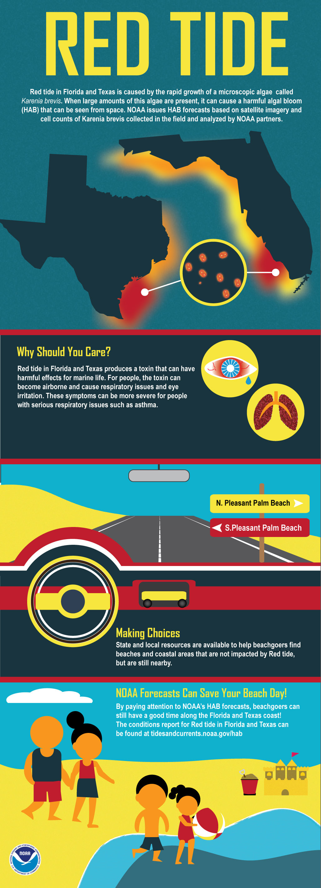 red tide infographic