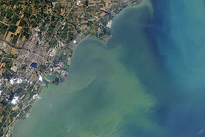 NASA image showing harmful algal bloom in Lake Erie from space