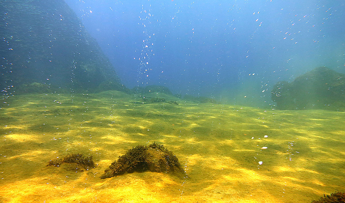Maug's underwater volcanic vents; credit: Kaylyn McCoy)