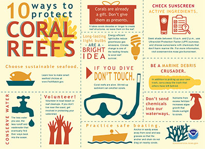 A screenshot of coral reef infographic showing things you can do