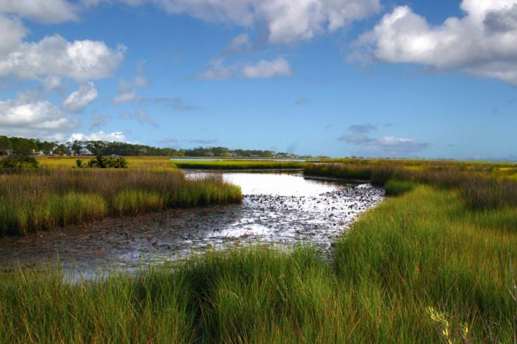 Coastal habitats such as this salt marsh in the Gulf provide us with countless benefits, from nursery grounds for fish to protection from storms. (NOAA Fisheries)