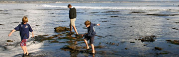 Learn about, explore, and protect your ocean--our ocean(NOAA)