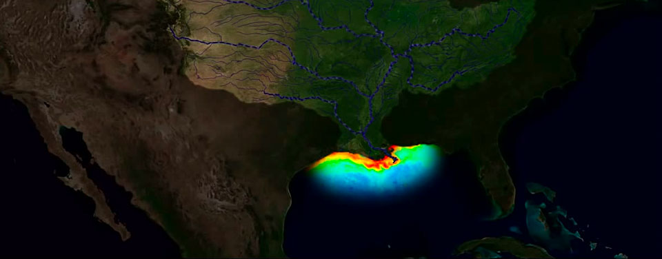 animation of nutrient pollution run off into Gulf of Mexico