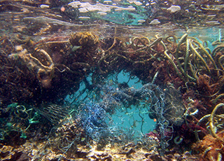 image of marine debris in the water