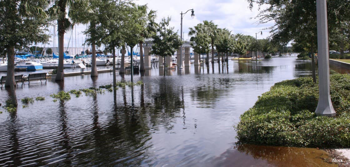 Next to a harbor in Florida, a sidewalk and the surrounding landscape is flooded due to sea level rise.