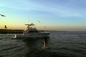 boat in Galveston Bay
